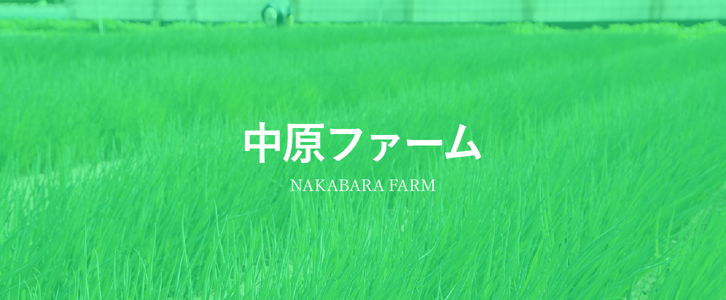 中原ファーム